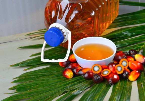 African Oil Palm(Elaeis guineensis). Oil palm originates from west africa but its cultivated in many tropical regions of the world. Indonesia &amp; Malaysia produce about 85% of the palm oil in the world.