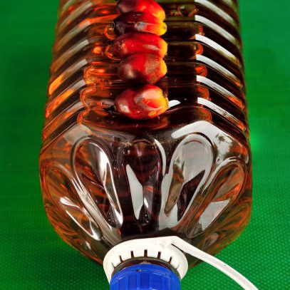 Palm oil, a well-balanced healthy edible oil is now an important energy source for mankind. It comes from the fruit itself. It is widely acknowledged as a versatile and nutritious vegetable oil.